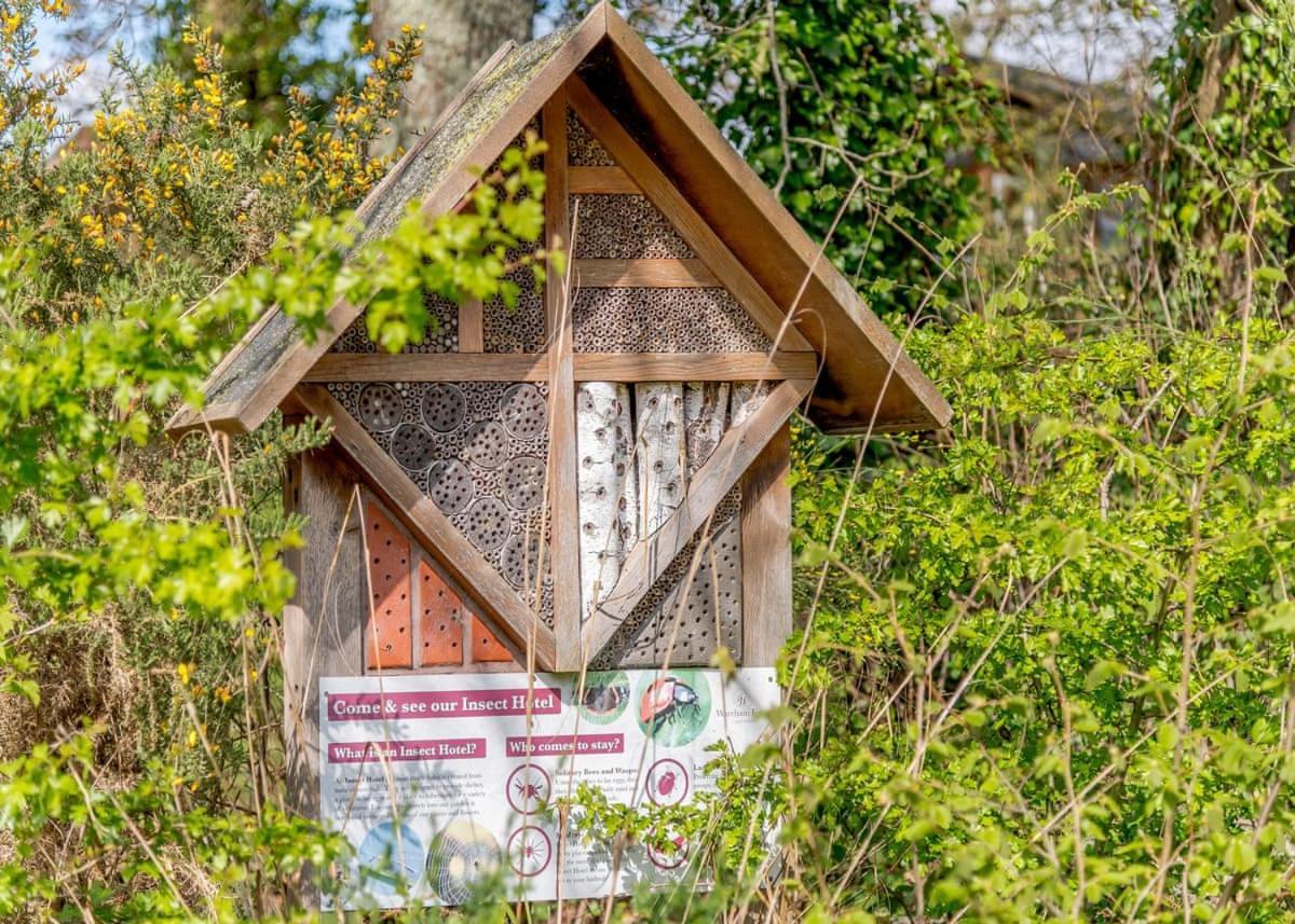 Wareham Forest Lodge Retreat Lytchett Minster Eksteriør bilde