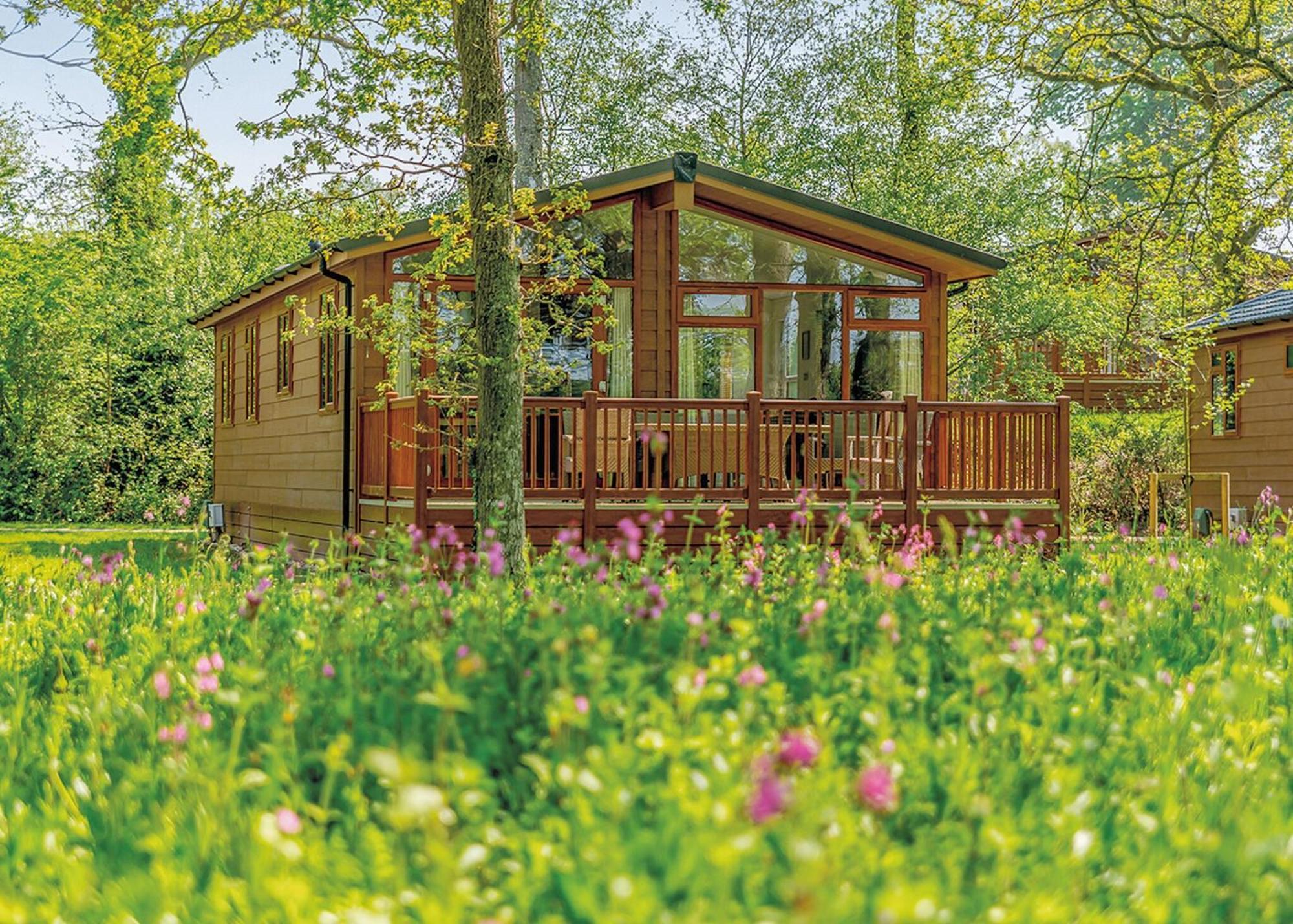 Wareham Forest Lodge Retreat Lytchett Minster Eksteriør bilde